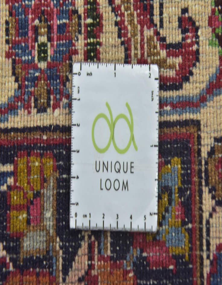 Detail image of 9' 10 x 12' 9 Hand Knotted Birjand Persian Wool Rug