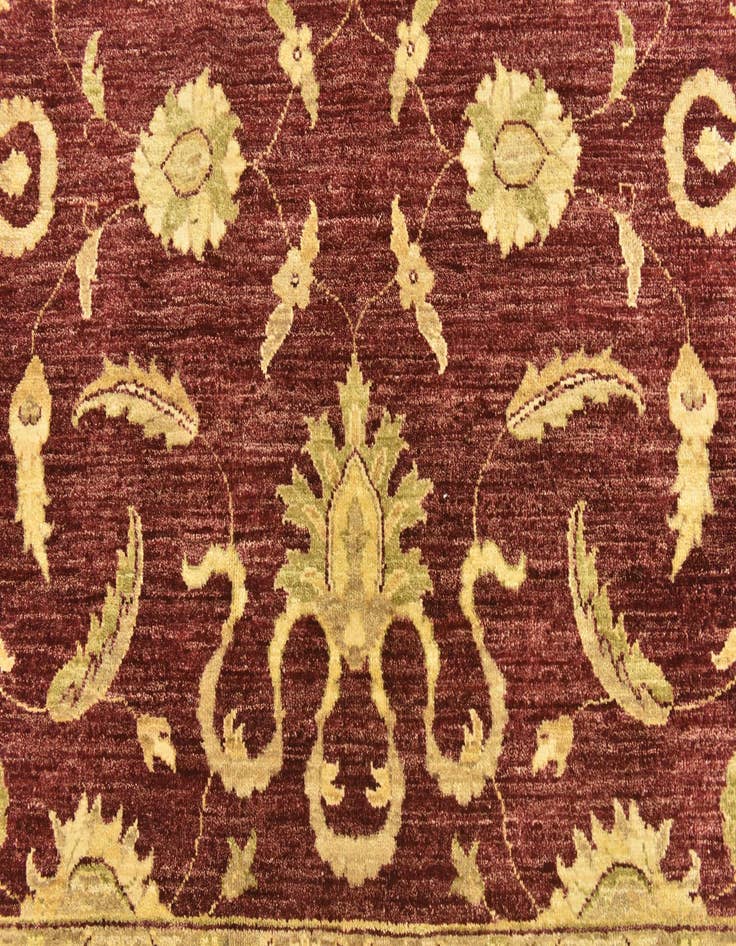 Detail image of  6' 6 x 9' 9  Hand Knotted Peshawar Ziegler Rug