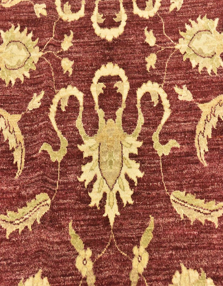 Detail image of  6' 6 x 9' 9  Hand Knotted Peshawar Ziegler Rug