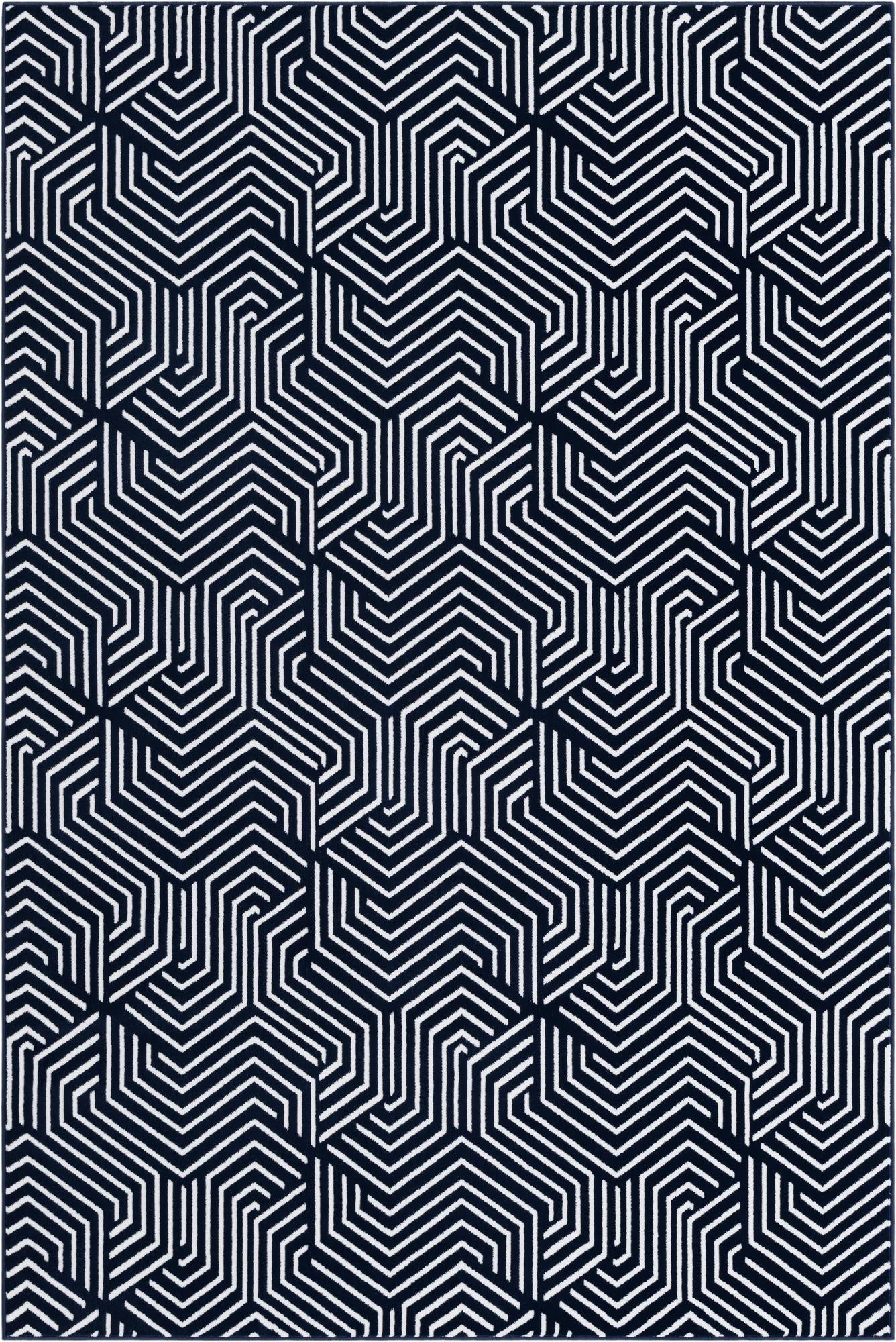  5' 3 x 8' Aakaar Rug