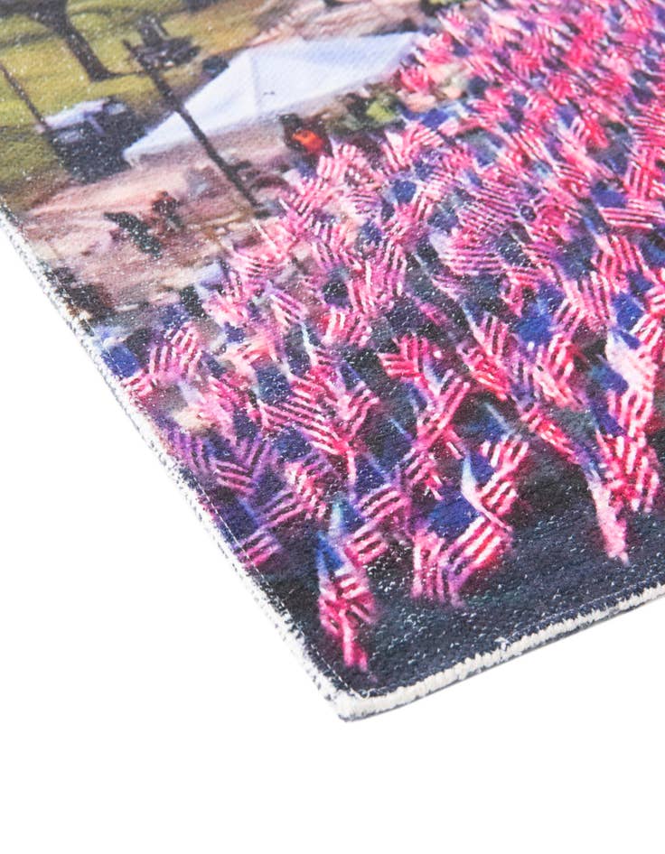 Detail image of  4' x 5' 7 Capitol Rug