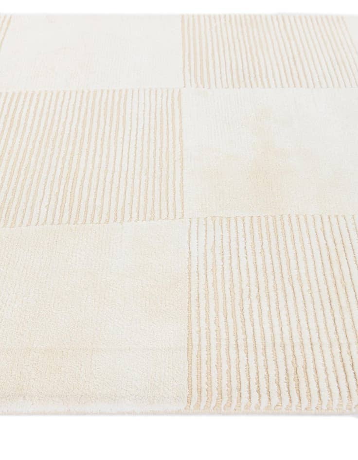 Detail image of  2' 11 x 4' 7  Hand Knotted Darya Wool Rug