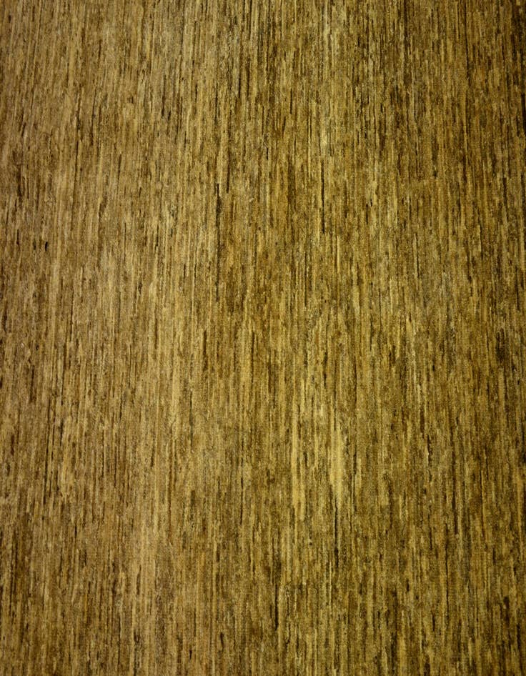 Detail image of  4' 9 x 6' 7  Hand Knotted Modern Ziegler Oriental Rug