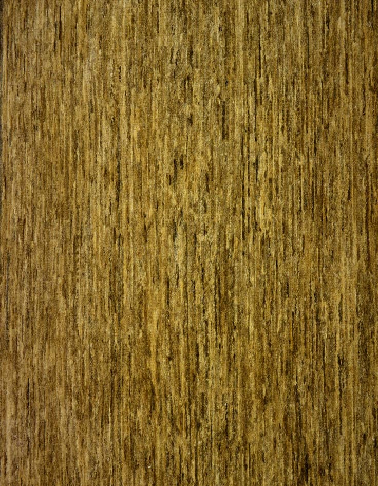 Detail image of  4' 9 x 6' 7  Hand Knotted Modern Ziegler Oriental Rug