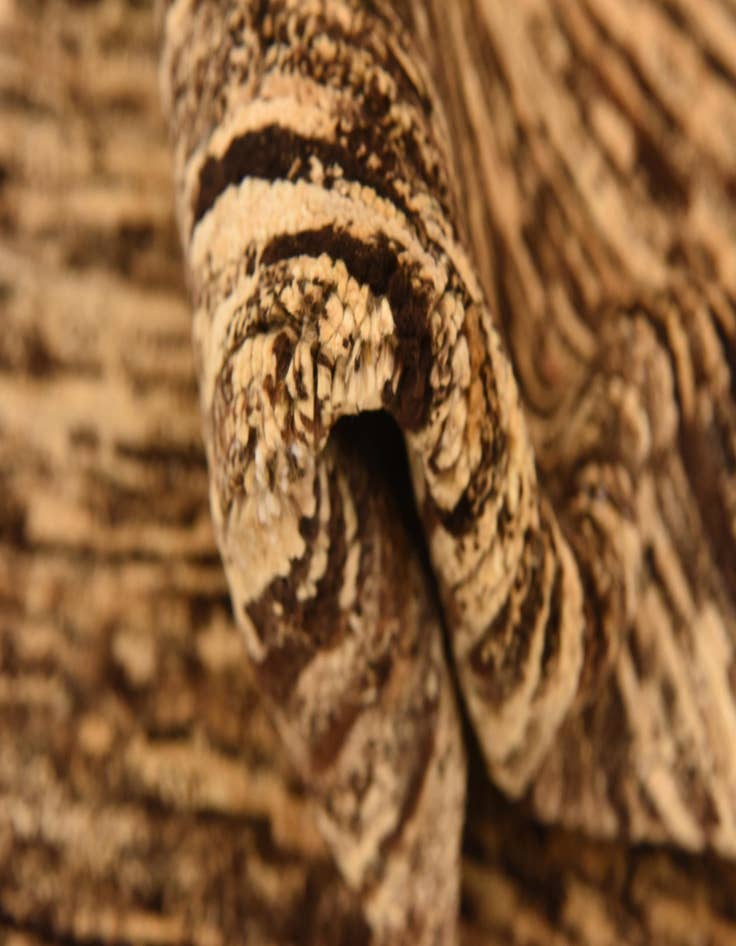 Detail image of  6' 1 x 9'  Hand Knotted Modern Ziegler Rug