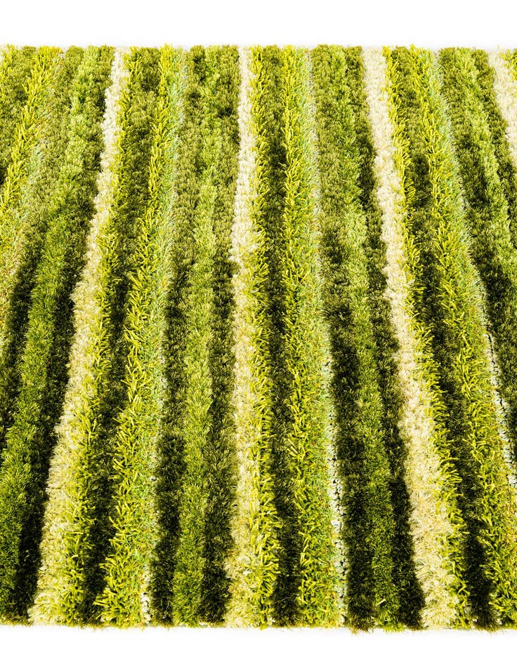 Detail image of  5' x 6' 7 Multi-Tone Shag Rug