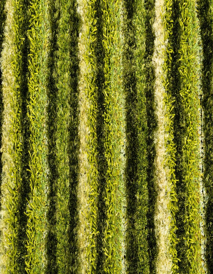 Detail image of  5' x 6' 7 Multi-Tone Shag Rug