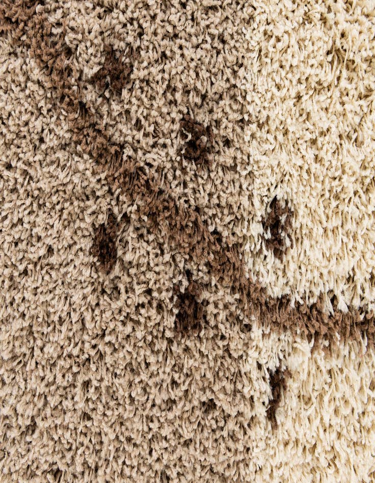 Detail image of  5' 3 x 7' 7 Multi-Tone Shag Rug