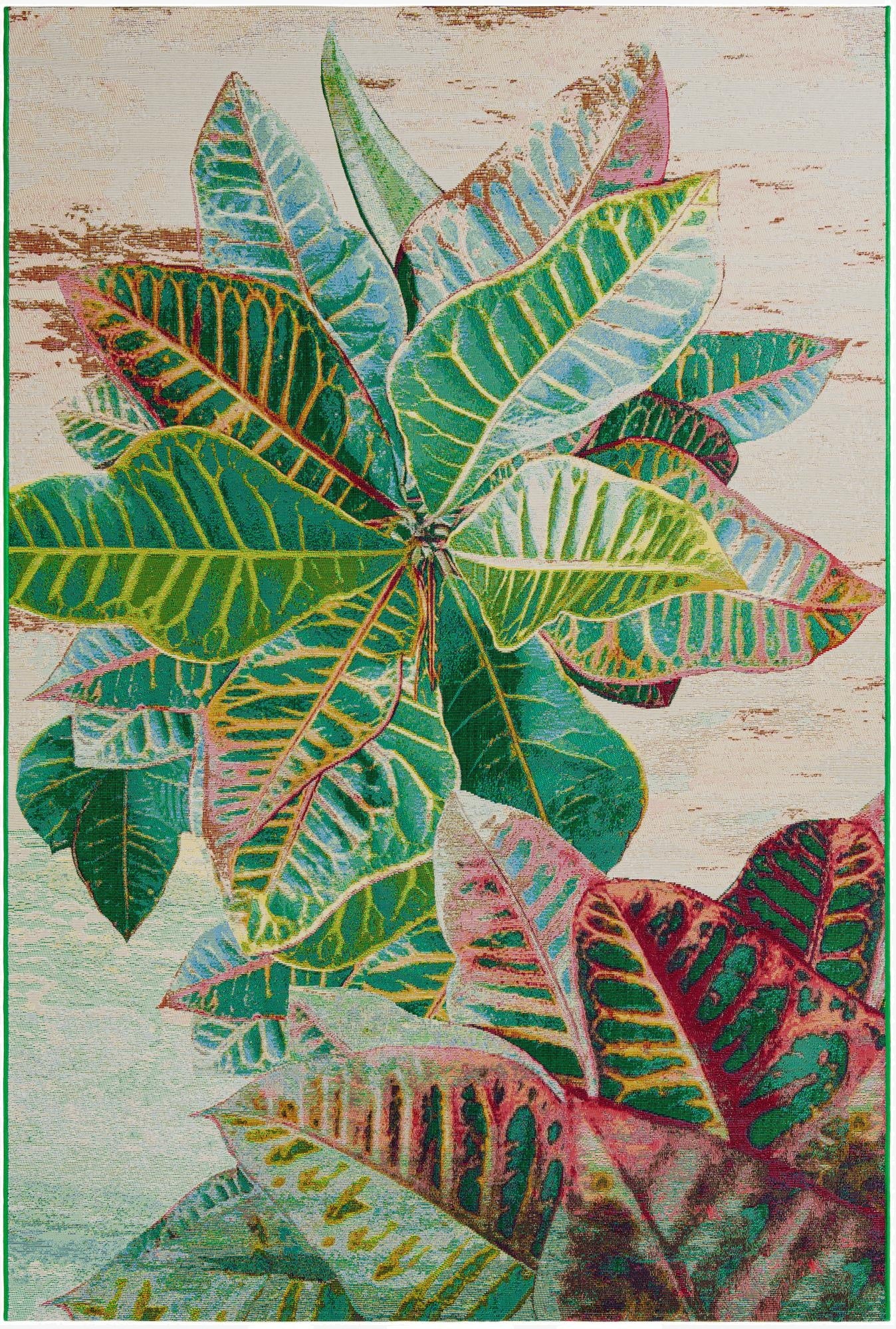  6' x 9'  Washable Botanical Indoor / Outdoor Rug