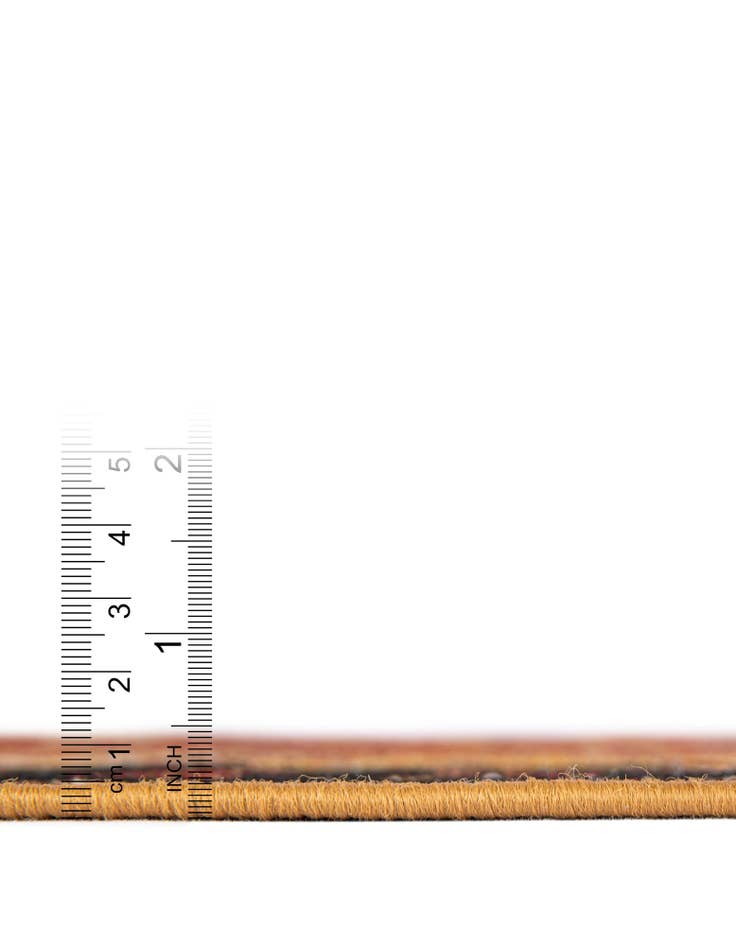 Detail image of  4' x 6'  Washable Traditional Indoor / Outdoor Rug