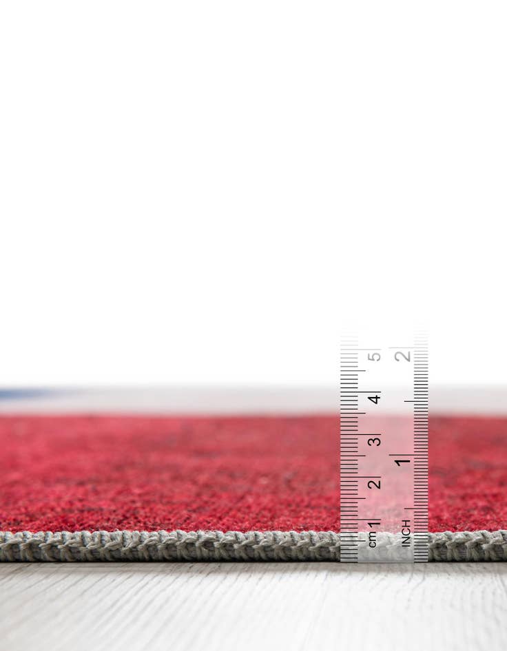 Detail image of  3' 3 x 5' 3 Texas The Flag Collection Rug