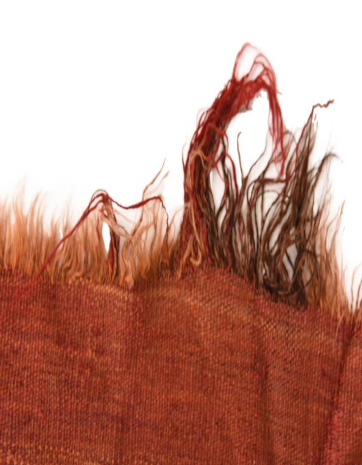 Detail image of  4' 7 x 13' 5  Hand Woven Kilim Fars Wool Runner Rug