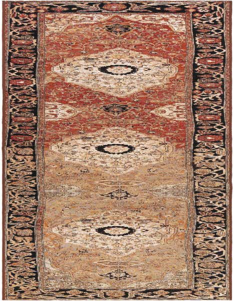 A 12 ft multi-colored traditional runner rug with an ornate medallion pattern and black border, ideal for a hallway or patio.