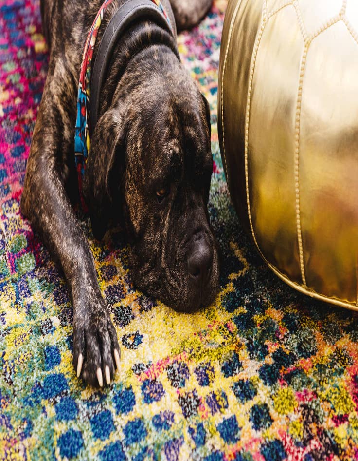 Detail image of  2' 2 x 6'  Washable Theia Runner Rug