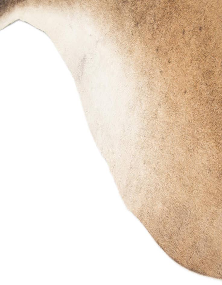 Detail image of  6' 2 x 6' 6 Cowhide Leather Square Rug