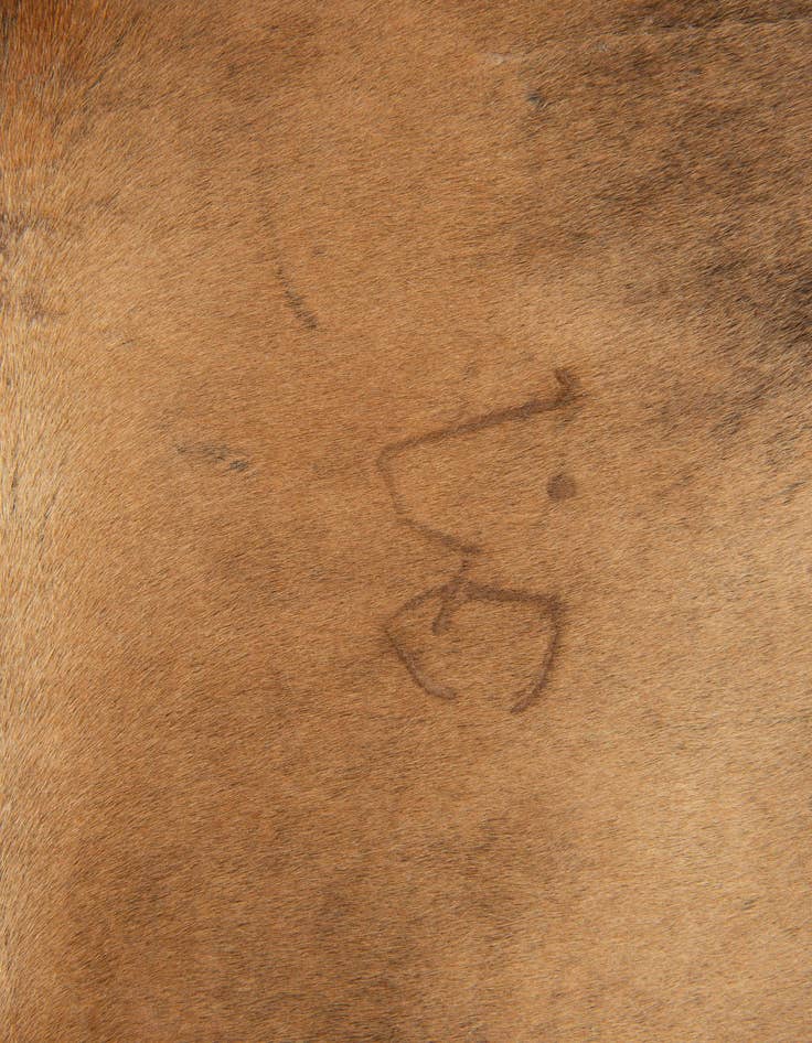Detail image of  6' 2 x 6' 6 Cowhide Leather Square Rug