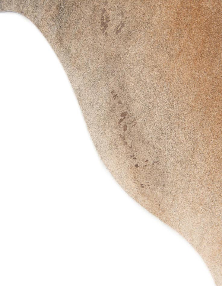 Detail image of  5' 2 x 5' 6 Cowhide Leather Square Rug