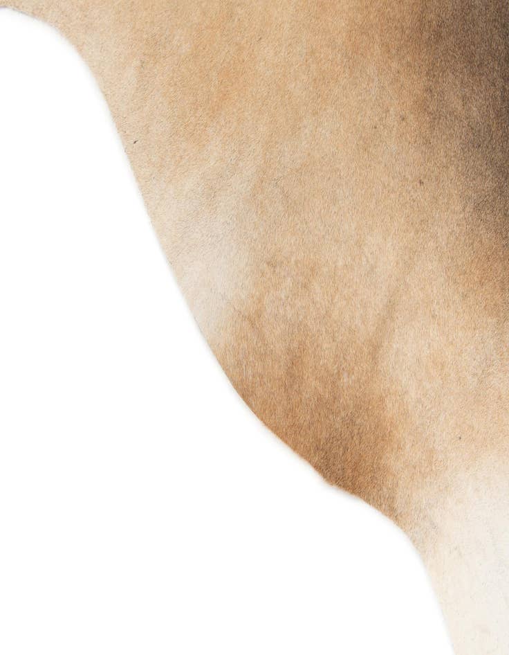 Detail image of  4' 4 x 4' 9 Cowhide Leather Square Rug