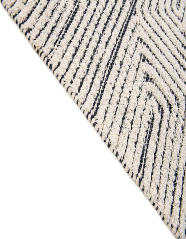 Detail image of  4' 1 x 6' 1  Hand Woven  Rug