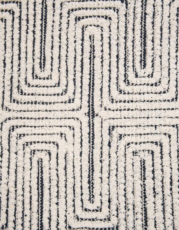 Detail image of  4' 1 x 6' 1  Hand Woven  Rug