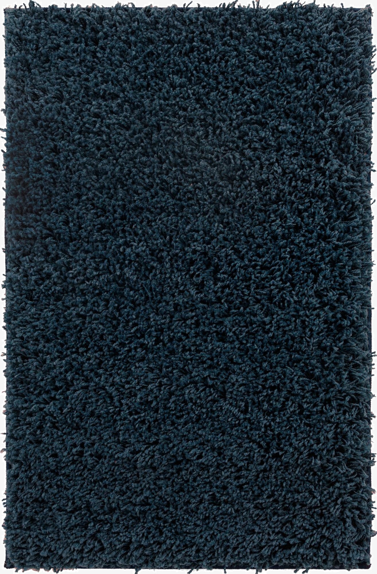  2' 2 x 3' Everyday Shag Rug