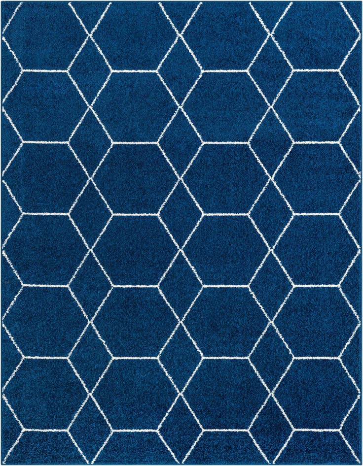 Detail image of  7' 10 x 11' Lattice Frieze Rug