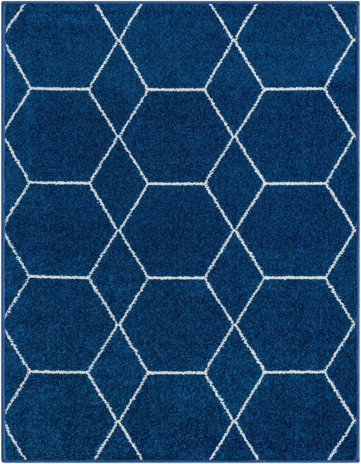 Detail image of  2' x 3' Lattice Frieze Rug