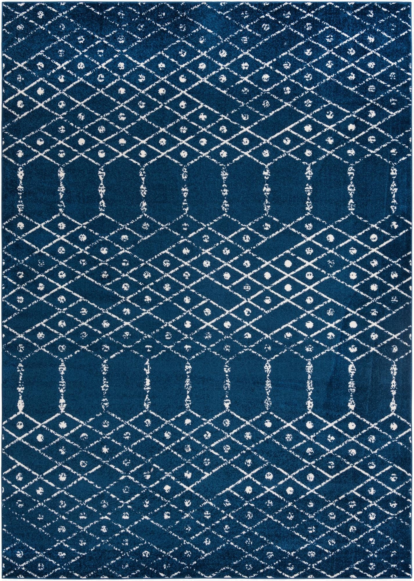  10' x 14' Paxon Trellis Rug