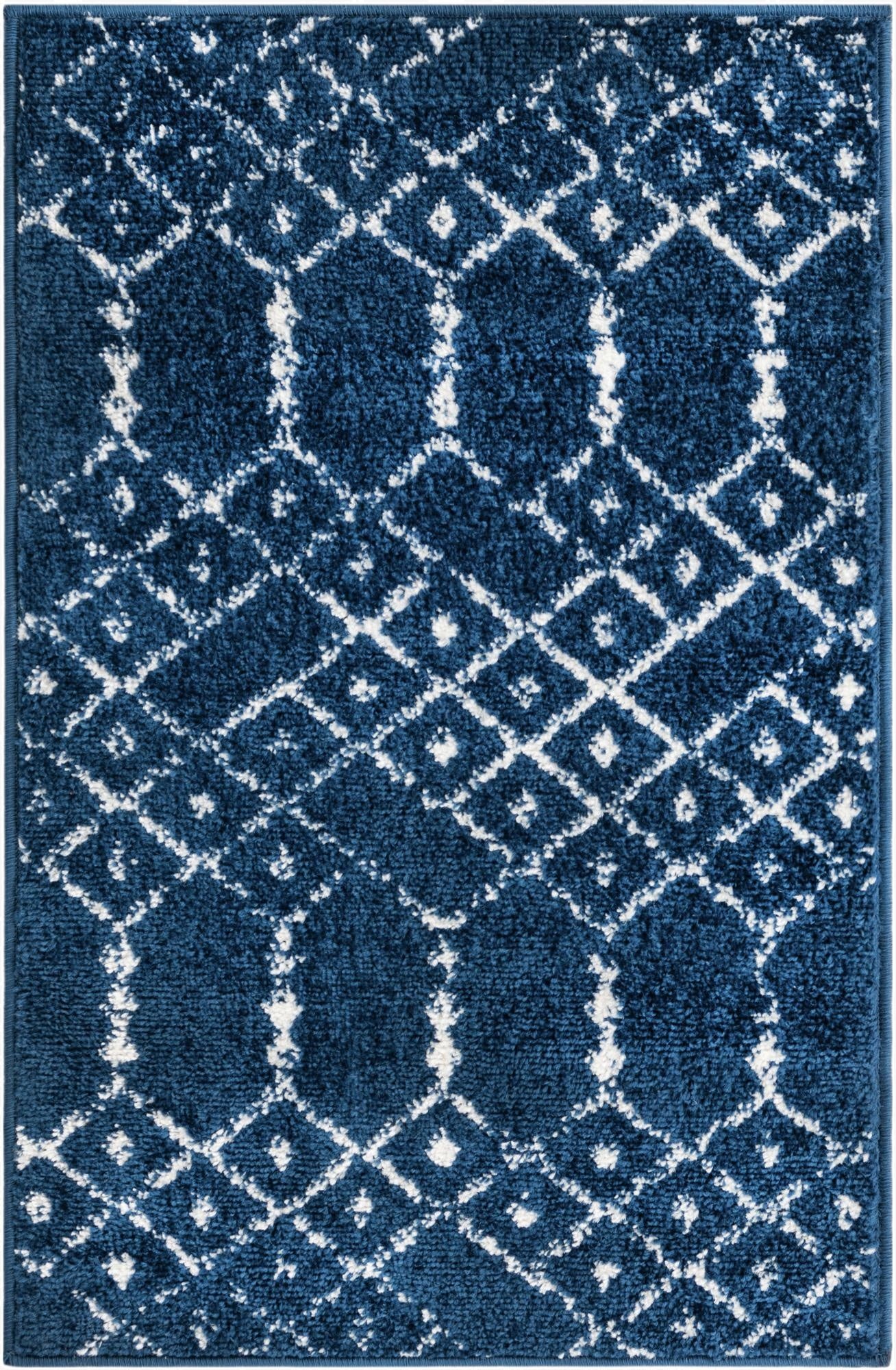  2' x 3' Paxon Trellis Rug