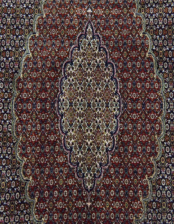 Detail image of  6' 9 x 9' 6  Hand Knotted Tabriz Persian Rug
