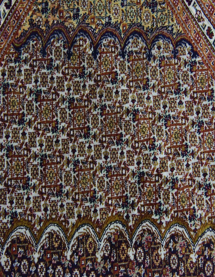 Detail image of  6' 9 x 9' 6  Hand Knotted Tabriz Persian Rug