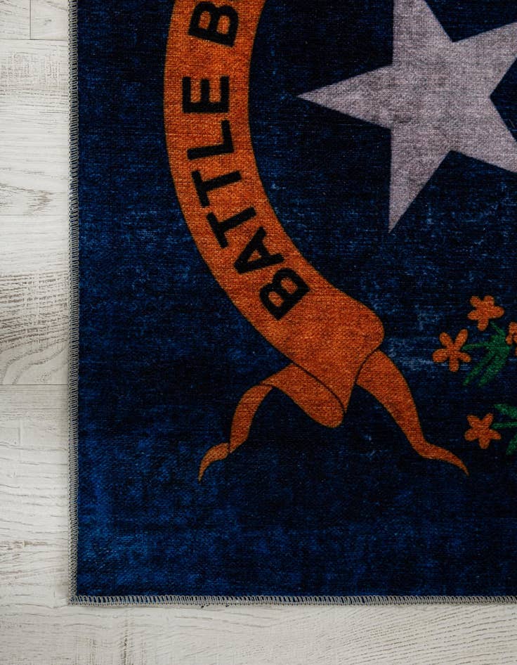 Detail image of  3' 3 x 5' 3 Nevada The Flag Collection Rug