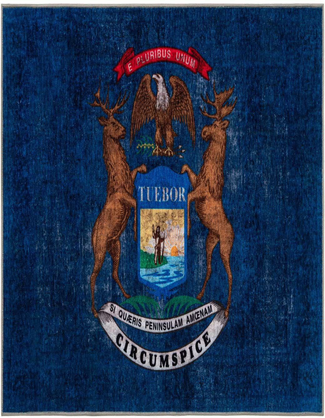 Primary image  8' x 11' Michigan The Flag Collection Rug