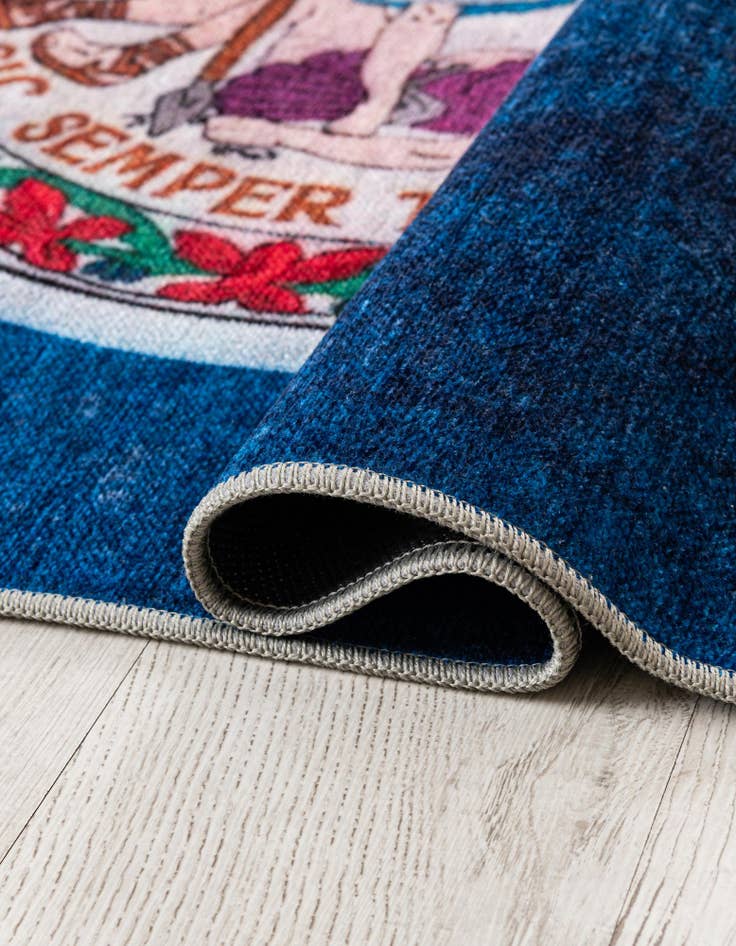 Detail image of  8' x 11' Virginia The Flag Collection Rug