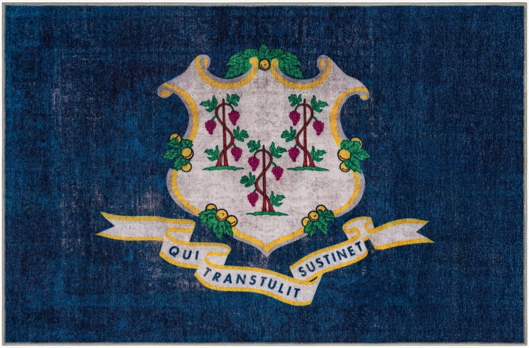 Primary image  8' x 10' Connecticut The Flag Collection Rug