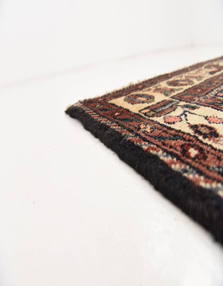 Detail image of 3' 8 x 9' 8 Hand Knotted Borchelu Persian Wool Runner Rug