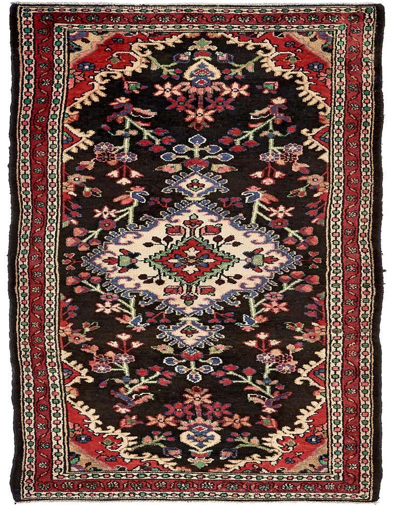 A 10 Ft Hamedan runner rug with a dark background, a central medallion, and intricate botanical and tribal patterns in blues, reds, and creams.