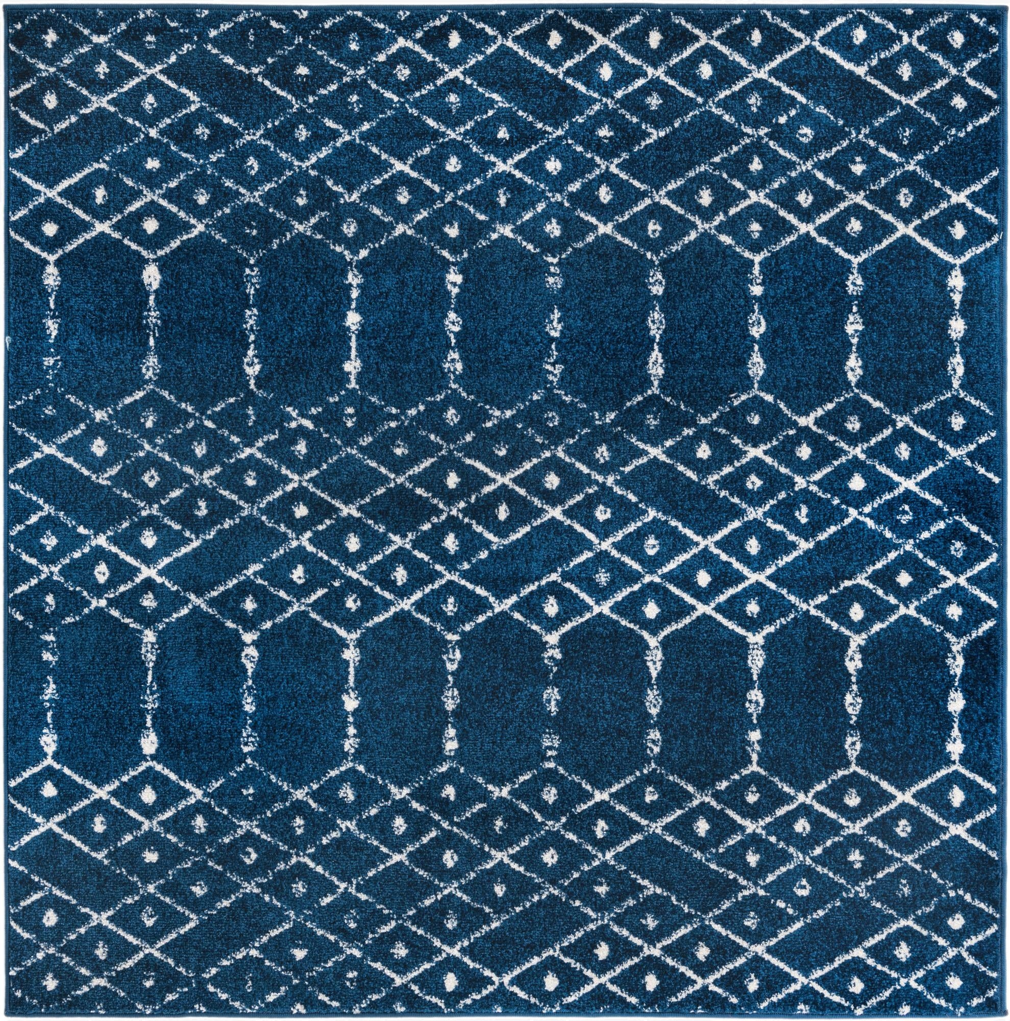  5' 3 x 5' 3 Paxon Trellis Square Rug