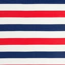 Rug Navy Bue and Red Swatch link