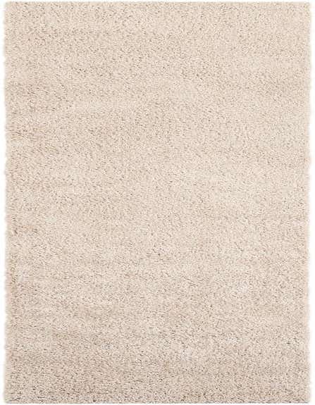 A 12 ft ivory shag runner rug with a textured pile, ideal for a modern hallway.