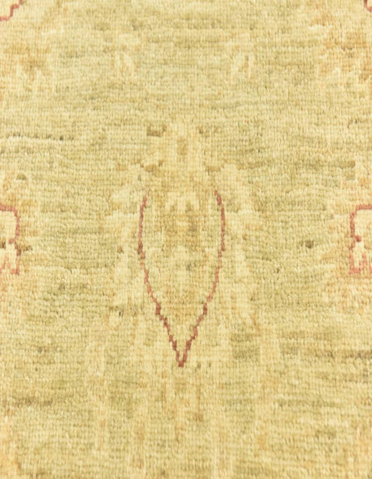 Detail image of  3' 3 x 5'  Hand Knotted Peshawar Ziegler Rug
