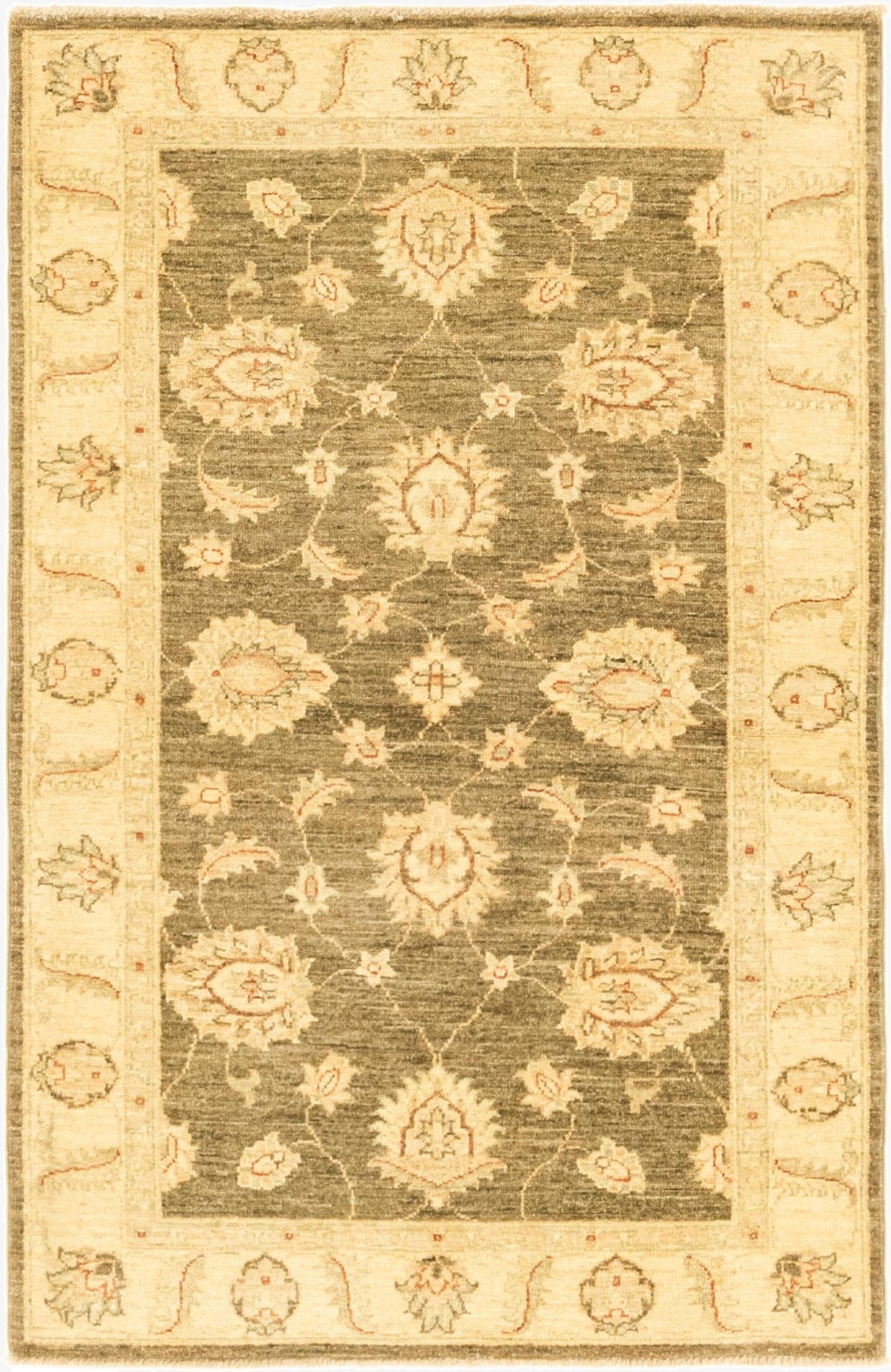  3' x 4' 10  Hand Knotted Peshawar Ziegler Rug
