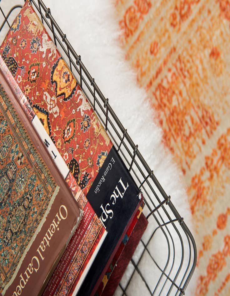 Detail image of  4' x 6' Apollo Rug