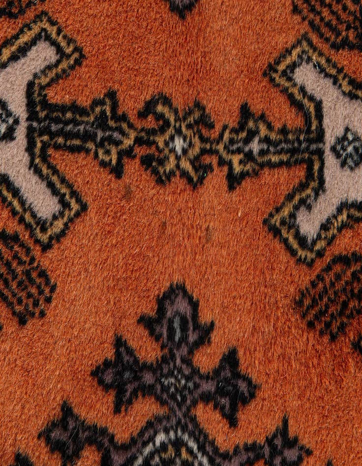 Detail image of  3' 2 x 5' 1  Hand Knotted Bokhara Oriental Wool Rug