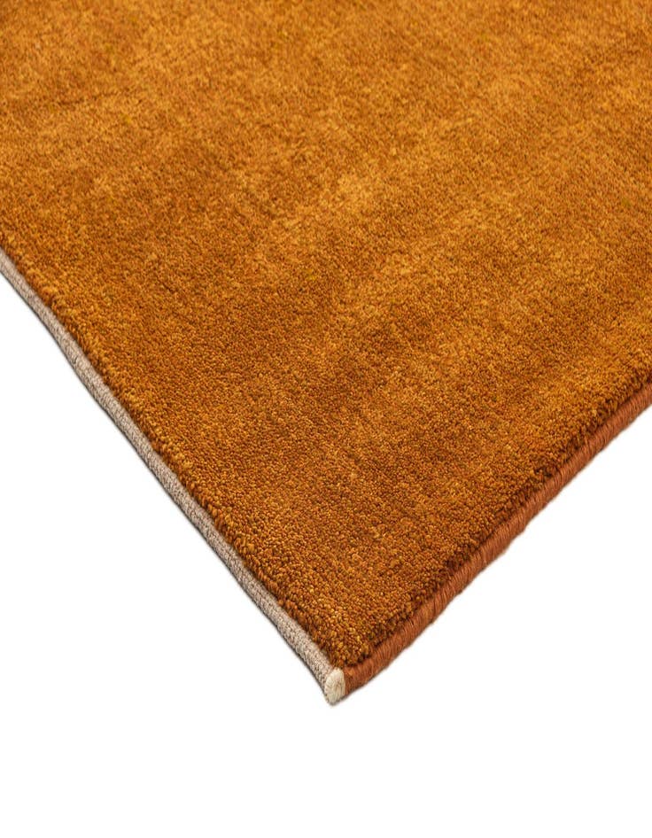 Detail image of  4' 11 x 6' 10 Gabbeh Shouli Rug