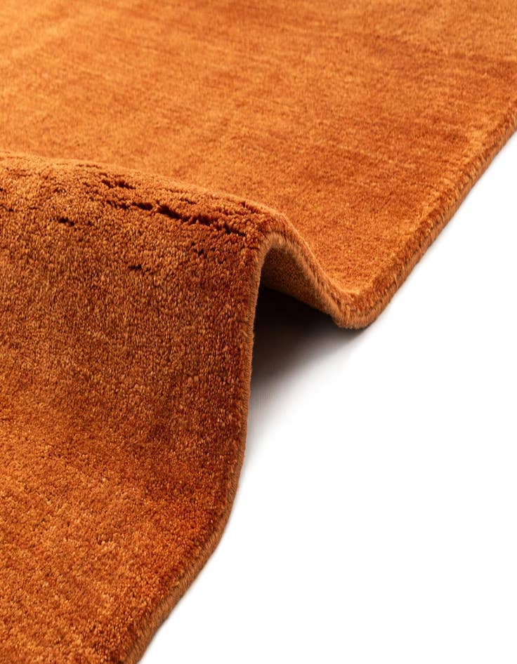 Detail image of  4' 5 x 5' 9 Gabbeh Shouli Rug