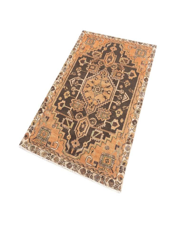 Detail image of  3' 3 x 4' 11 Hamedan Rug