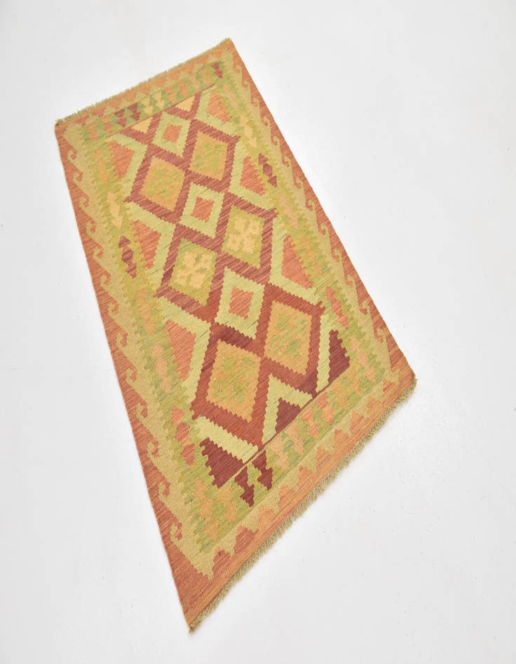 Detail image of  2' 9 x 4' 2  Hand Woven Kilim Waziri Wool Rug