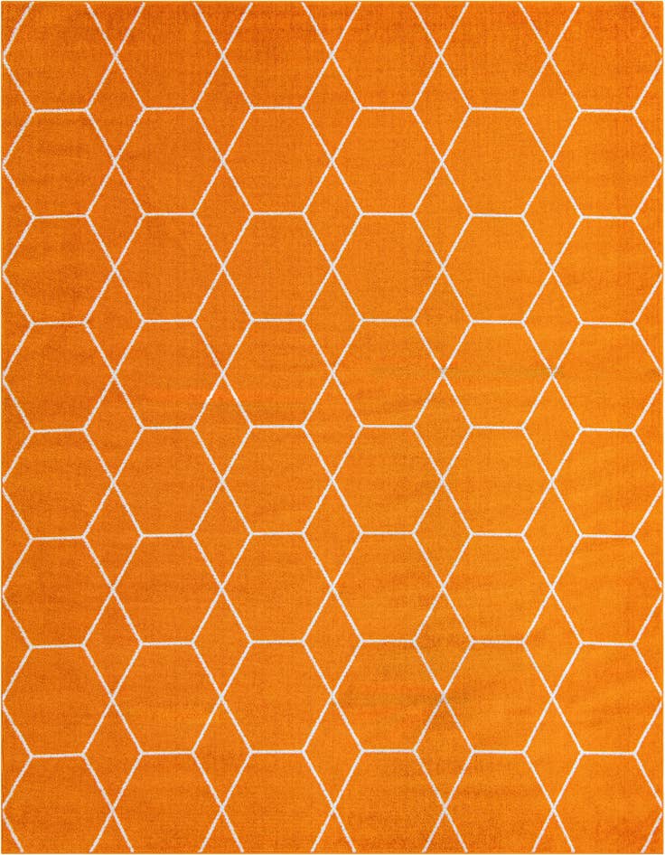 Detail image of  9' x 12' Lattice Frieze Rug