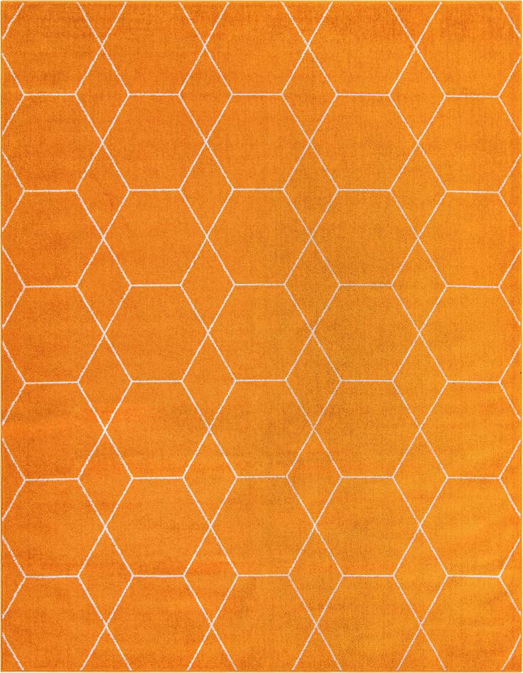 Detail image of  7' 10 x 11' Lattice Frieze Rug